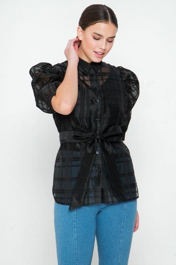 A See-thru Mini Length Organza Top | Mixtshop LLC