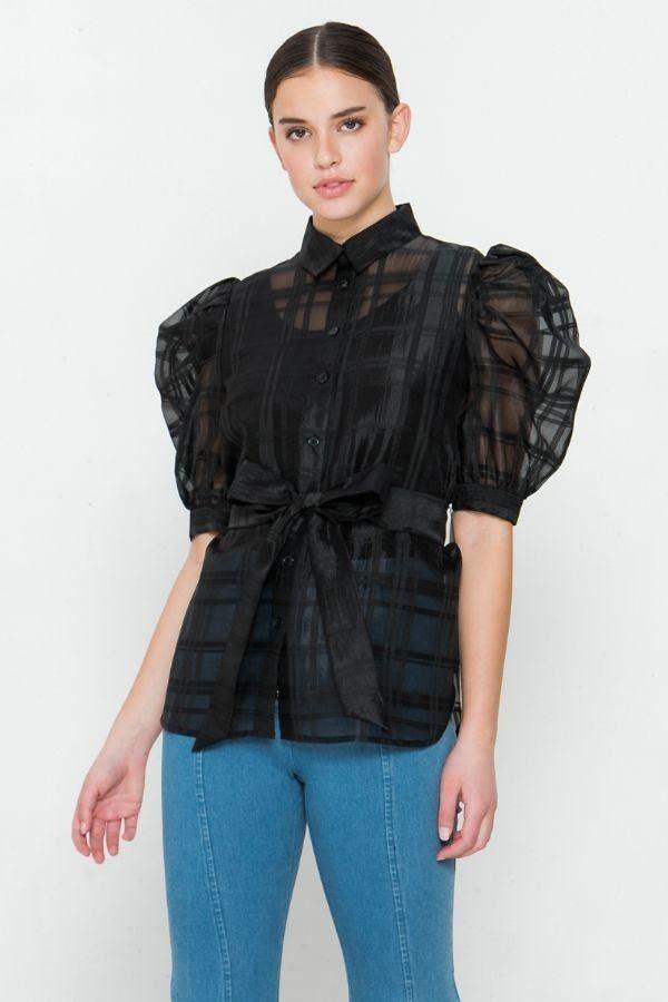 A See-thru Mini Length Organza Top | Mixtshop LLC