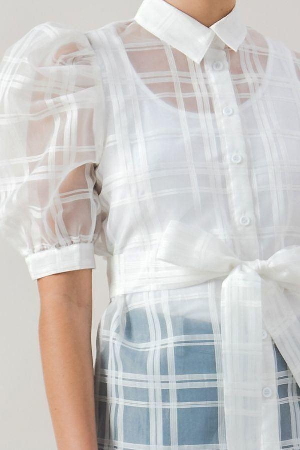 A See-thru Mini Length Organza Top | Mixtshop LLC