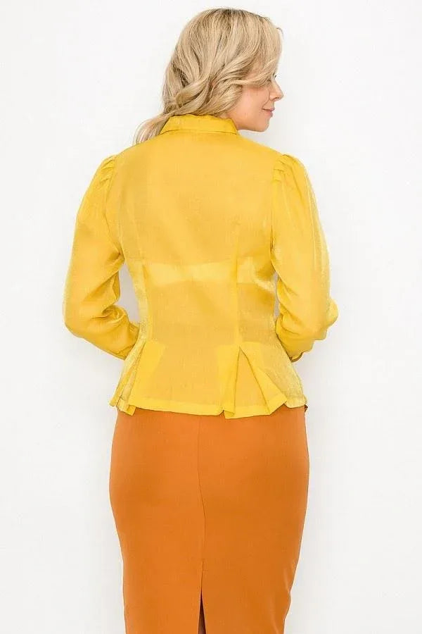 Organza Pleated Long Sleeve Blouse | Mixtshop LLC