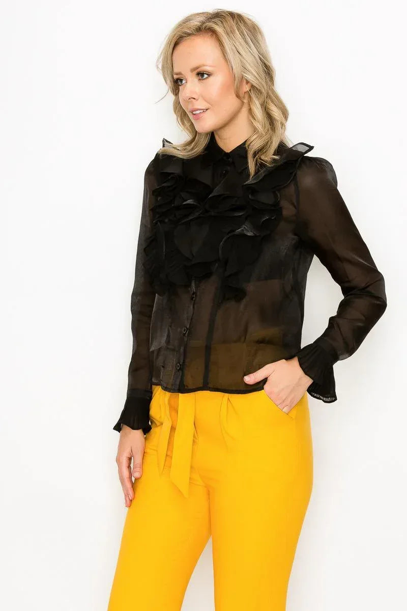 Ruffle Trim Long Sleeve Blouse | Mixtshop LLC
