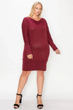 Draped Neck Long Sleeve Dress | Mixtshop LLC