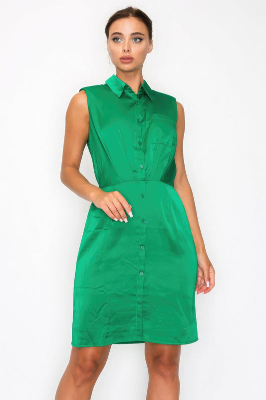 Button-down Pleated Shirt Dress | Mixtshop LLC