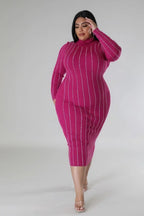 Turtle Neck Stretch Dress | Mixtshop LLC